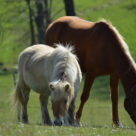 Bed & Breakfast D'hotes St Jacques Adults Only 3*