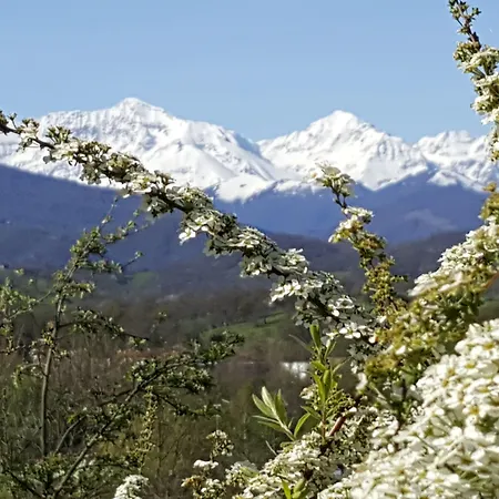 D'hotes St Jacques Adults Only Bed & Breakfast Saint-Lizier