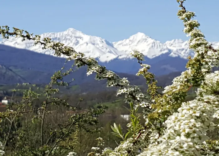 D'hotes St Jacques Adults Only Frühstückspension Saint-Lizier