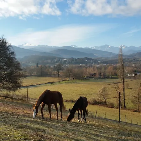 D'hotes St Jacques Adults Only