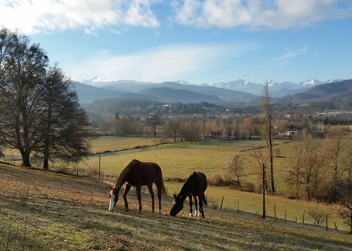 D'hotes St Jacques Adults Only