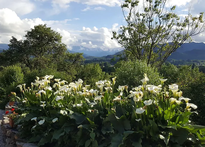 D'hotes St Jacques Adults Only